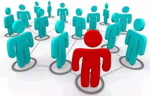 构建坚实的品牌基石 一份完整品牌策划方案的核心内容与品牌管理要义